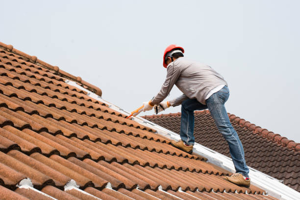Best Steel Roofing  in Clemson University, SC