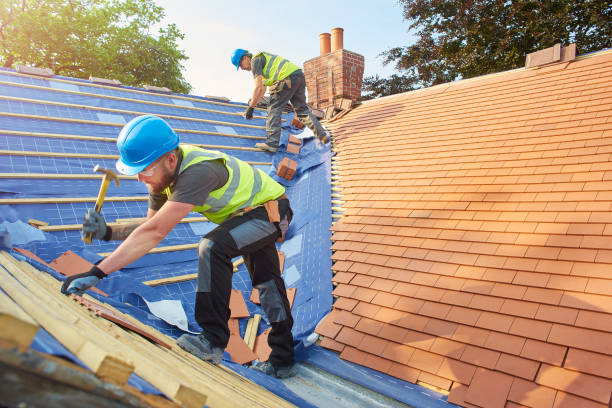 Best Green or Eco-Friendly Roofing Solutions  in Clemson University, SC